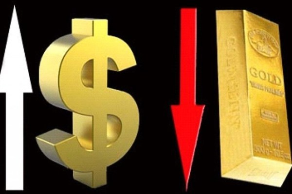 Vàng vẫn giữ được mốc 1800$ dù USD tăng. Tất cả là nhờ Fed