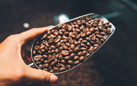 Giá cà phê tiếp tục đi lên trên thị trường thế giới, Robusta đang đứng ở mức cao nhất 10 năm qua