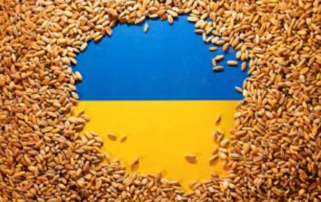 Nga đảm bảo một &#8220;hành lang xanh&#8221; cho ngũ cốc Ukraine qua Biển Azov