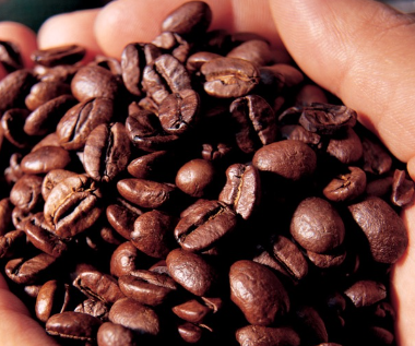 Cà phê thế giới bật tăng khi đồng USD sụt giảm, trong nước được đà &#8216;nhảy&#8217; lên gần mốc 43.000 đồng/kg