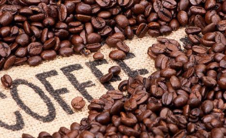 Xu hướng giảm trở lại, giá cà phê suy yếu trên cả hai sàn phái sinh