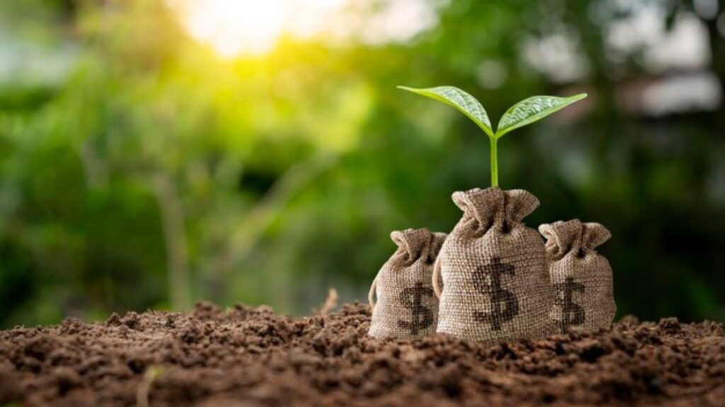 Maximizing Your Portfolio: A Deep Dive into 5starsstocks.com Cannabis Insights