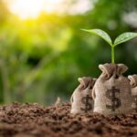 Maximizing Your Portfolio: A Deep Dive into 5starsstocks.com Cannabis Insights