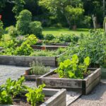 Creative Backyard Landscaping Ideas for Every Home