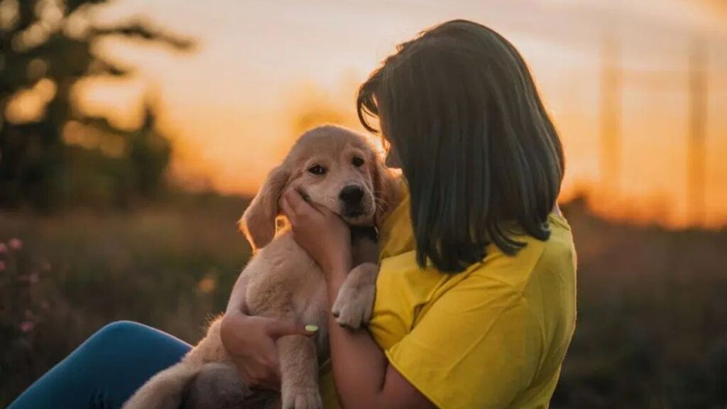 Raising Happy, Well-Adjusted Puppies at Home