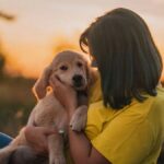Raising Happy, Well-Adjusted Puppies at Home